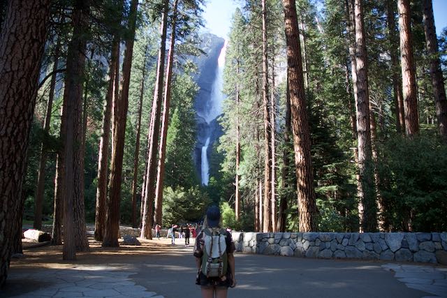 The Natural Connection: Can Touching Trees Ground Your Body?